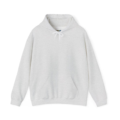 Dinosaur & Chick Cute Hoodie – "RAWR" Chiquipe & Blu Graphic Sweatshirt