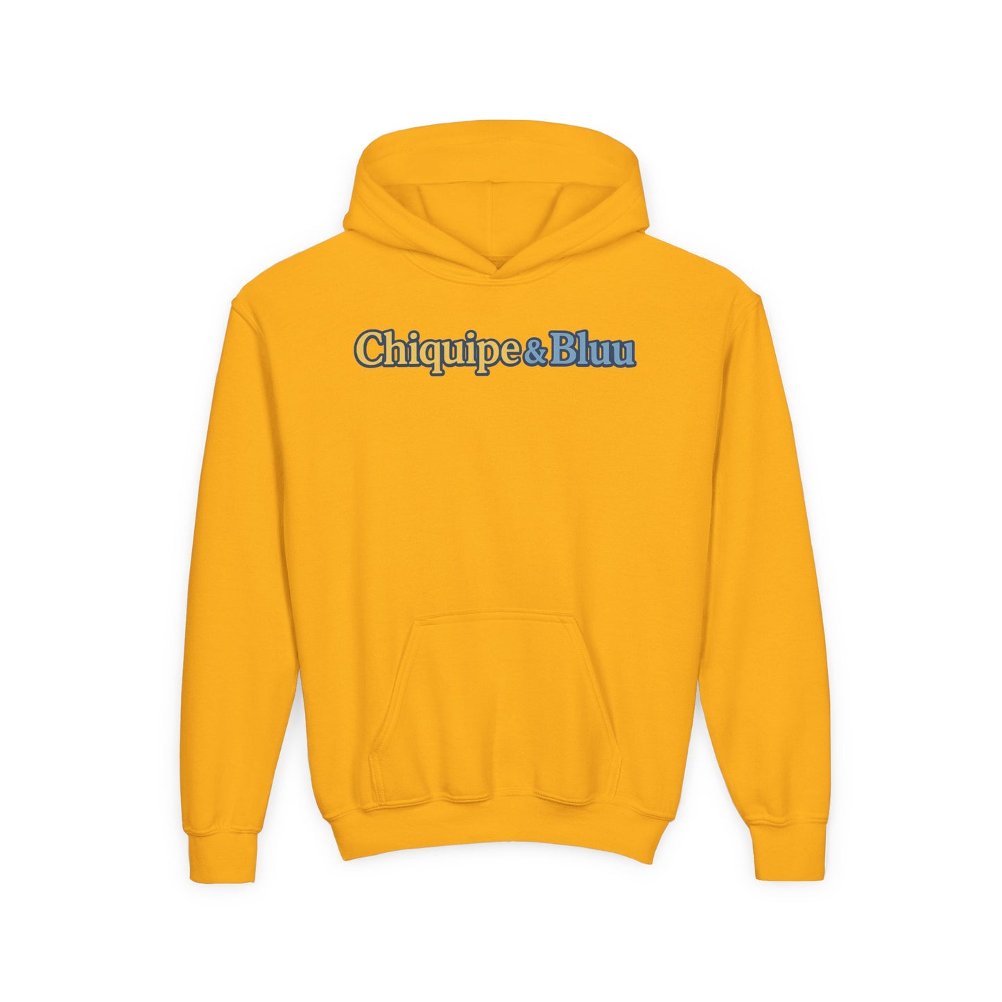 Chiquipe & Bluu Youth Hoodie, Fun Kids Sweatshirt, Cozy Pullover for Playdates, Birthday Gift, Cute Animal Design