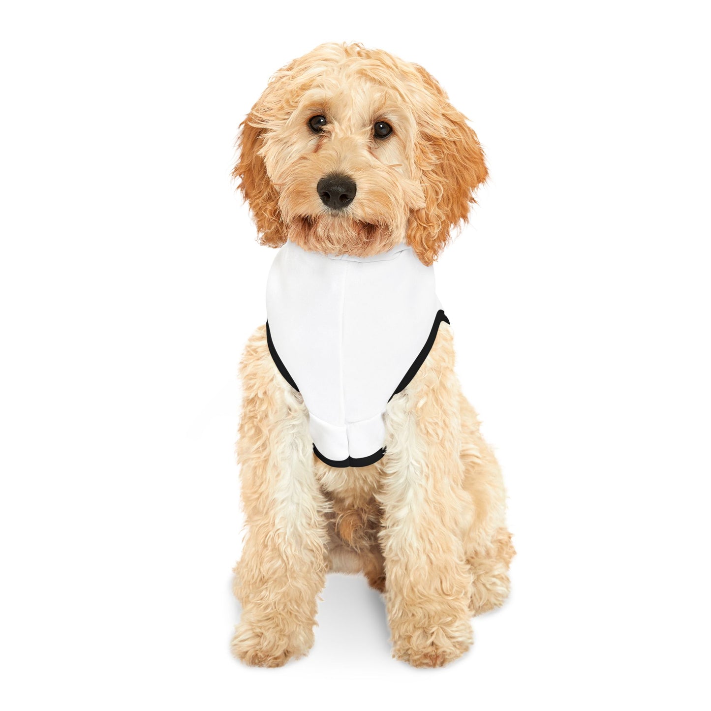 Pet Hoodie —  Printed Dog/Cat Hoodie (Chiquipe & Blu)