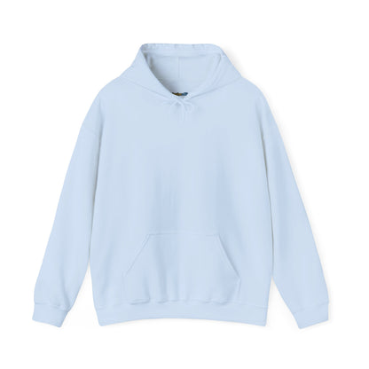 Dinosaur & Chick Cute Hoodie – "RAWR" Chiquipe & Blu Graphic Sweatshirt
