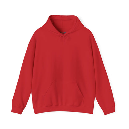 Dinosaur & Chick Cute Hoodie – "RAWR" Chiquipe & Blu Graphic Sweatshirt