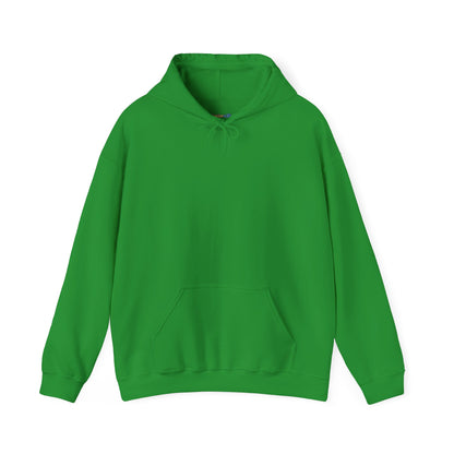 Dinosaur & Chick Cute Hoodie – "RAWR" Chiquipe & Blu Graphic Sweatshirt