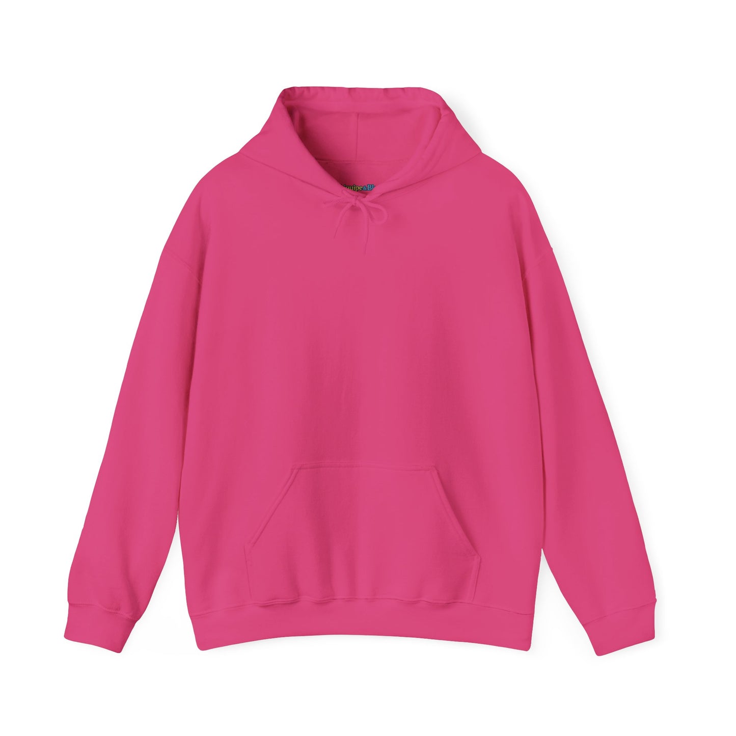 Dinosaur & Chick Cute Hoodie – "RAWR" Chiquipe & Blu Graphic Sweatshirt