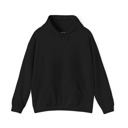 Dinosaur & Chick Cute Hoodie – "RAWR" Chiquipe & Blu Graphic Sweatshirt