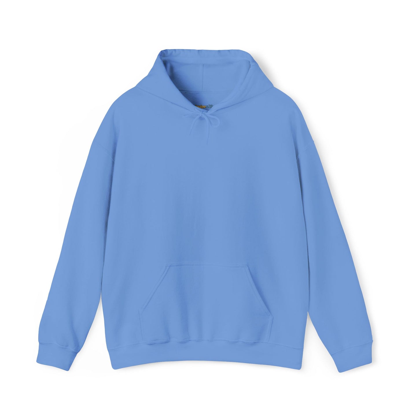 Dinosaur & Chick Cute Hoodie – "RAWR" Chiquipe & Blu Graphic Sweatshirt