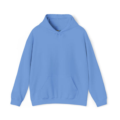 Dinosaur & Chick Cute Hoodie – "RAWR" Chiquipe & Blu Graphic Sweatshirt