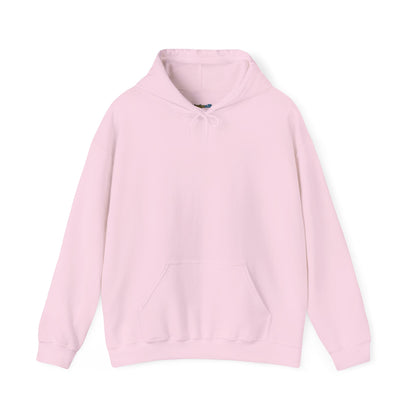 Dinosaur & Chick Cute Hoodie – "RAWR" Chiquipe & Blu Graphic Sweatshirt